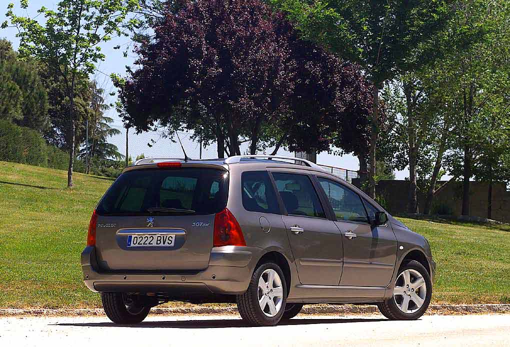 Peugeot 307 SW 2.0 HDI 110 CV - Autocity